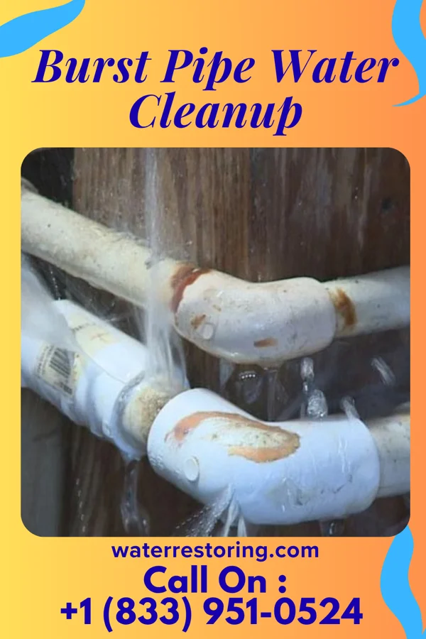 Burst Pipe Water Cleanup in Amsterdam, OH
