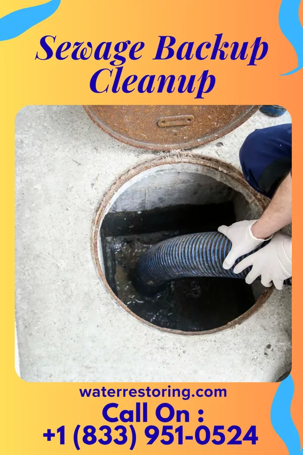 Sewage Backup Cleanup in Amsterdam, OH